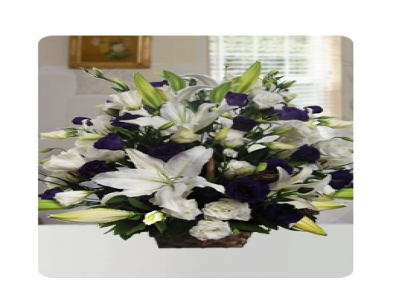 Mavilerle Süslenmiş Lilyum 