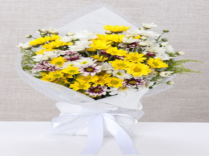 Renkli Papatya Buketi