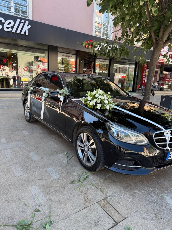 CANLI ARAÇ SÜSLEME