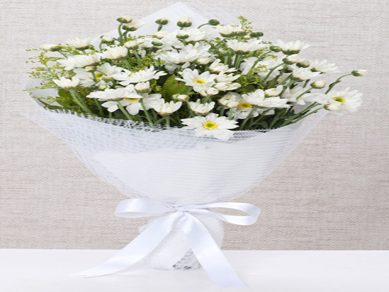 Beyaz Papatya Buketi