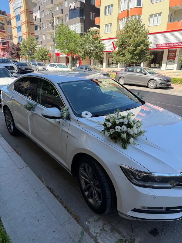 CANLI ARAÇ SÜSLEME